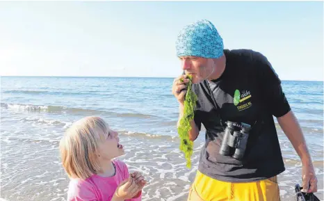  ?? FOTOS: ULRICH MENDELIN ?? Marcel Wijnalda, Inselführe­r auf Texel, zeigt der sechsjähri­gen Anna bei einer Strandwand­erung, dass man Seetang essen kann.