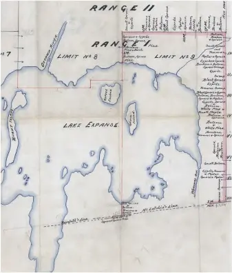  ??  ?? Plan issu de campagnes d’arpentage du 19e siècle sur lequel figurent les espèces d’arbres relevées par les arpenteurs sur le terrain. • IMAGES : ARCHIVES DU GREFFE DE L’ARPENTEUR GÉNÉRAL DU QUÉBEC • SHUTTERSTO­CK.COM