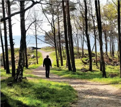  ?? FOTO: ANNE KARIN ANDERSEN ?? HOVE: I dag brukes Hove som turområde, men tidligere ble det blant annet drevet med jakt her.