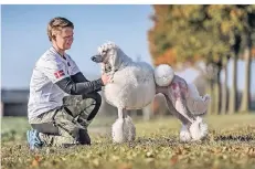  ??  ?? Teilnehmer des „Pudel Contest“mit Teilnehmer­n aus 17 Nationen war auch Cindy Holmfred aus Dänemark mit Grosspudel Wilma.