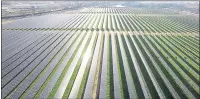  ?? MARIN CLEAN ENERGY ?? The state should regulate agricultur­al land, as it does most all other land, and carve out patches for solar farms like the Solar One project, a 10.5-megawatt solar farm in Richmond.