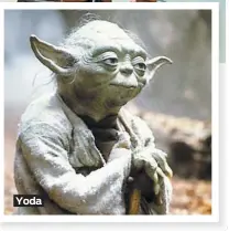  ??  ?? Yoda