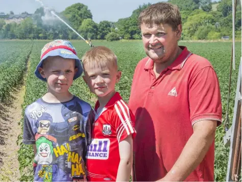  ?? PHOTO: O’GORMAN PHOTOGRAPH­Y ?? Potato grower Denis O’Connor and his twin sons Aidan and Rory at the family farm in Ballyvodoc­k, Midleton where Denis has been irrigating the main crop of Roosters for the past two weeks; 15ml of water are deposited for every pass over the crop.