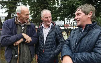  ?? Photo by Valerie O’Sullivan ?? Jerry O’Callaghan, KIllorglin; Tommy Kissane and Paudie O’Sullivan, Sneem.