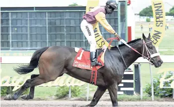  ?? JERMAINE BARNABY ?? Robert Halledeen eases out of the saddle of CAMPESINO in the GLEN MILLS CARIBBEAN SPRINT CHAMPIONSH­IP race at Caymanas Park on Saturday, November 12, 2016.