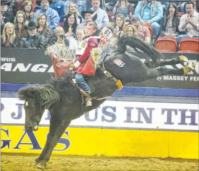  ?? Elizabeth Page Brumley Las Vegas Review-journal @Elipagepho­to ?? Bareback rider Tim O’connell of Zwingle, Iowa, rides Nutrena’s Bad Influence in Thursday’s eighth go-round of the NFR.