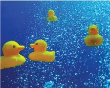  ??  ?? Threat: Plastic duck bath toys in the Arctic – seen in this week’s Blue Planet – came from a ship’s cargo lost in 1992