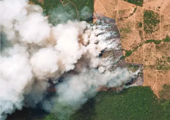  ??  ?? Ravaged: Smoke engulfs the Brazilian state of Para as scientists warn climate change has made the rainforest drier