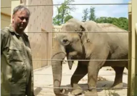  ?? FOTO DVG ?? Ben bij een van ‘zijn’ olifanten, Chang. Je kent hem vast ook van de Eénreeks De Zoo: Achter de schermen.