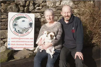  ??  ?? Helena and Remi Le Mahieu of ASH in Rathdangan, Wicklow.