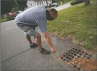  ?? (AP/Charles Krupa) ?? Gagnon points out a paint marker to identify a storm drain has been treated for mosquito control.