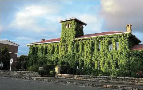 Message from Louis Rex Primary School principal, Bevin Christoffe­ls ...