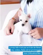  ??  ?? Lorsqu’elle n’est pas en train de filmer des vidéos, Nalie est en promenadea­vec mon chihuahua Néo.