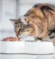  ?? FOTO: INA FASSBENDER/DPA ?? Katzenfutt­er sollte nicht zu phosphorha­ltig sein. Das ist schlecht für die Niere.