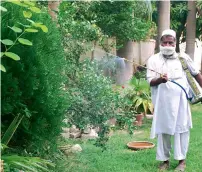 ?? APP ?? An official of district administra­tion spraying anti-mosquito spray on plants to control the dengue virus in Peshawar. —