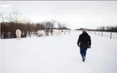  ?? KAYLE NEIS FILES ?? Arla Delver, shown walking towards a horse pasture near Valley Road earlier this year, wrote on Facebook in December that the four horses had been killed by ‘thrill-seekers.’