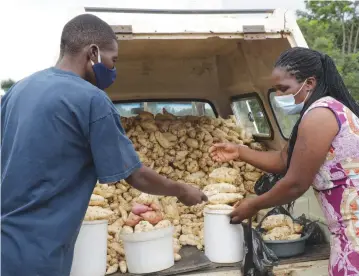  ??  ?? Despite Covid-19 lockdown restrictio­ns, a woman is seen selling sweet potatoes to a customer along Liberation Legacy Way in Borrowdale, Harare, yesterday. — Picture: Memory Mangombe