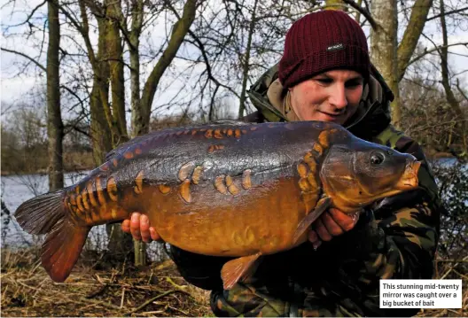  ??  ?? This stunning mid-twenty mirror was caught over a big bucket of bait