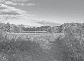  ?? WAUKESHA COUNTY PARKS ?? Trails wind through landscapes in Nashotah Park in Waukesha County. Parks in the county will have free admission through Sunday.