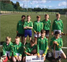  ??  ?? The Kilcoole NS hurlers who played their part in a thoroughly enjoyable Allianz Boys Hurling League.