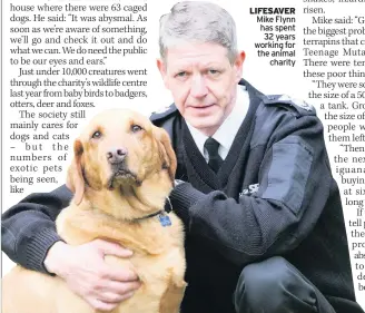  ??  ?? LIFESAVER Mike Flynn has spent 32 years working for the animal charity