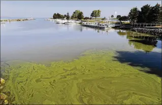  ?? PAUL SANCYA / ASSOCIATED PRESS ?? Algae floats at the Maumee Bay State Park marina in Lake Erie in Oregon, Ohio, in September. Pungent, ugly and often-toxic algae is spreading across U.S. waterways, even as the government spends vast sums of money to help farmers reduce fertilizer...