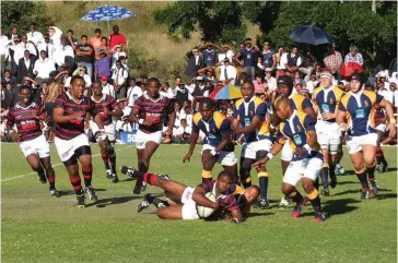 ?? Photo: supplied ?? Dale and Graeme are two of the sides who will be out to impress when they see action in the Standard Bank Grey High Rugby Festival this week. A total of 20 first teams will compete in the festival in Port Elizabeth on Thursday and Saturday.
