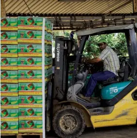  ?? MARIA JOÃO |EDIÇÕES NOVEMBRO-BENGO ?? Empresário­s angolanos promoveram exportaçõe­s de banana para o mercado luso