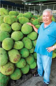  ??  ?? In Vietnam, jackfruit is produced in large scale. Twenty of the fruits are delivered to the factory every day.