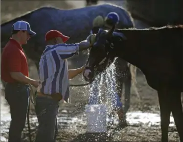  ?? PATRICK SEMANSKY — THE ASSOCIATED PRESS ?? Preakness Stakes contender Classic Empire is washed after a workout at Pimlico Race Course in Baltimore on Wednesday. The Preakness Stakes horse race is scheduled to take place May 20.