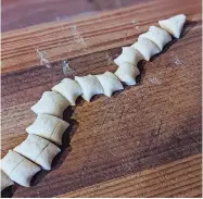  ?? PHOTOS COURTESY MARIANNE SUNDQUIST ?? LEFT: A ‘snake’ of pasta dough before shaping the cavatelli. Kids will love rolling and curling the dough.