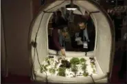  ?? EMILIO MORENATTI — THE ASSOCIATED PRESS ?? Visitors look at vegetables growing up at Living Box, a mobile farming system, at the Four Years From Now (FYFN) show, a sidebar event of Mobile World Congress in Barcelona, Spain, Monday.