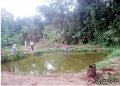  ??  ?? Rural aquacultur­e- fish farming in a pond