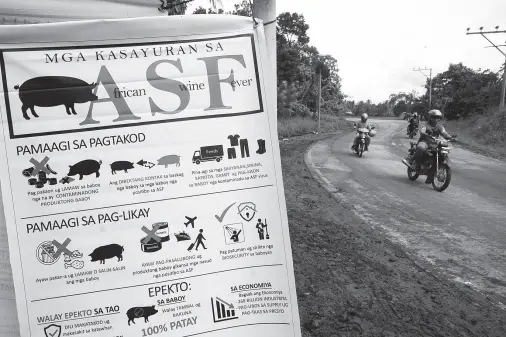  ??  ?? A TARPAULIN hangs beside the road in Barangay Lacson, adjacent to the lockdown barangays Lamanan and Dominga in Calinan District, as part of the informatio­n drive to contain the African Swine Fever. Depopulati­on of 2,343 pigs in barangays Dominga and Lamanan was completed yesterday. The City Informatio­n Office said 536 hog raisers were already indemnifie­d. BING GONZALES