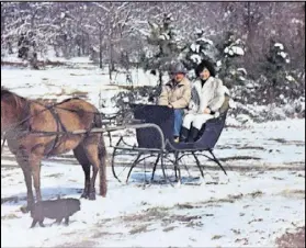  ?? ANGELA WEILBAECHE­R ?? Family photograph of Jackie Tucker and Young Oggie Tucker, parents of Angela Weilbaeche­r, on the sleigh in 1984.