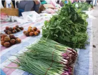  ??  ?? ANTARA sayur-sayuran kampung hasil titik peluh Madalina sekeluarga.