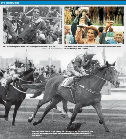  ?? PHOTO: THE MELBOURNE AGE PHOTO: THE MELBOURNE AGE ?? Jim Cassidy brings Kiwi home after winning the Melbourne Cup in 1983. Left Anne Lupton holds Kiwi’s Melbourne Cup aloft as husband Snow shows off the winning trainer’s replica.