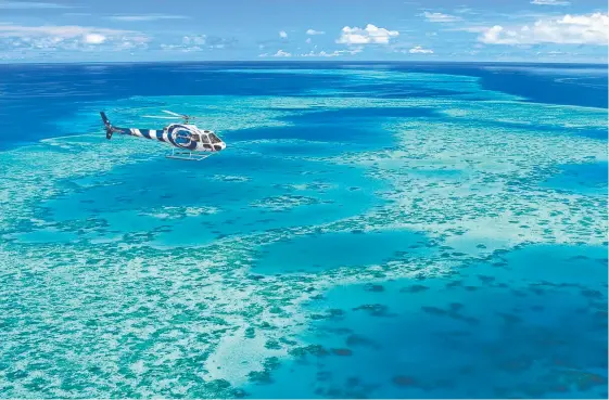  ??  ?? Cairns-based company Great Barrier Reef Helicopter­s has been operating for 20 years and has about 80 employees.