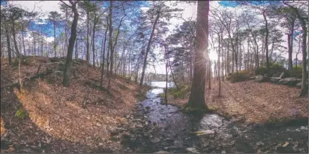  ?? Submitted photo ?? VIRTUAL VIEW: A panoramic view from a trail at Garvan Woodland Gardens will give potential visitors a unique look at Hot Springs in a new virtual reality film from Visit Hot Springs. The convention and visitors bureau said the two virtual reality films it produced, “Hot Springs, The Experience of a Lifetime,” are the first of their kind in tourism marketing in Arkansas.