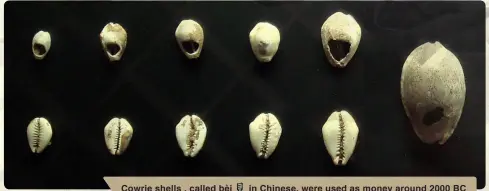  ??  ?? Cowrie shells , called bèi in Chinese, were used as money around 2000 BC