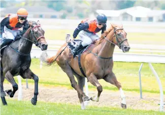  ?? Photo / Race Images ?? Promising 3-year-old Kick Start, inner, will be up against star filly Probabeel at Awapuni today.