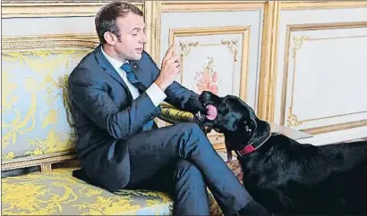  ?? GETTY ?? Emmanuel Macron parla amb el seu gos Nemo en un saló de l’Elisi