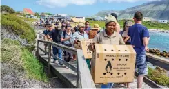  ?? | JOHANN BOTHA ?? SEVENTEEN penguins were released at Betty’s Bay on Saturday.