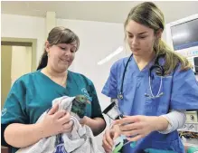  ?? PHOTO: GREGOR RICHARDSON ?? Valuable experience . . . Senior wildlife veterinary nurse Angelina Martelli holds a wood pigeon as vet nurse student Sophie Richardson prepares to administer anesthetic.