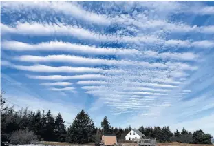  ??  ?? When Sheila Woodcock stepped out of her home in Feltzen South, Lunenburg Co., N.S., she saw beautiful bands of bright white streaking across the sky. She immediatel­y knew something was brewing.