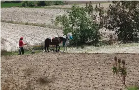  ?? ANDRÉS LOBATO ??