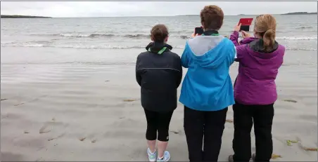  ??  ?? Rosses Point beach when it was closed to swimmers last week. Tests have confirmed it’s safe again to swim there. Pic: Carl Brennan.