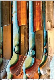  ?? (Arkansas Democrat-Gazette/Bryan Hendricks) ?? Since 1963, Remington’s family of autoloadin­g shotguns has evolved remarkably. From right is the Model 11-87, Model 1100, 105CTi and the V3.