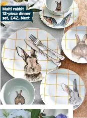  ?? ?? Multi rabbit 12-piece dinner set, £42, Next