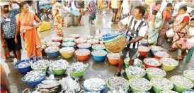  ?? ?? Though mechanised boats have now recommence­d fishing activity, those back from the deep sea to Kasimedu market complain of poor catch due to changes in wave patterns